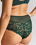 Allure Deep Brief Forest Green TKD Lingerie Panache Core B1