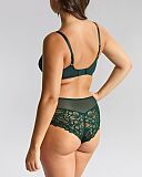 Allure Full Cup Bra And Deep Brief Forest Green TKD Lingerie Panache Fashion B1
