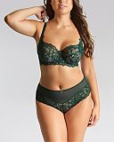Allure Full Cup Bra And Deep Brief Forest Green TKD Lingerie Panache Fashion F1