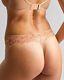 Allure Thong Champagne Gold TKD Lingerie Panache Fashion B1