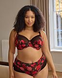Bliss Full Cup Bra And Deep Brief Rose Print