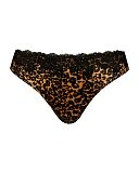 Boost Lace Tanga Brief Leopard Print