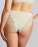 Celeste Deep Brief Pistachio
