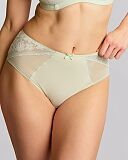 Celeste Deep Brief Pistachio