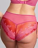 Clara Deep Brief Pink Papaya