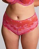 Clara Deep Brief Pink Papaya