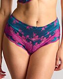 Clara Deep Brief Teal Magenta