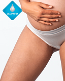 Elevate Leakproof Moderate Deep Brief Shell TKD Lingerie Hotmilk LF1