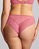 Envy Brazilian Brief Fuschia Pink
