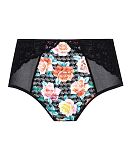 Envy Deep Brief Black Rose