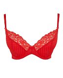 Envy Plunge Bra Red
