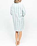 Francesca Printed Stripe Nightshirt Mint Mix