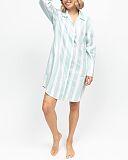 Francesca Printed Stripe Nightshirt Mint Mix