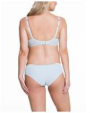 Frosted Parfait Flexiwire Bra Control Brief B2
