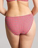 Gingham Classic Brief Red Gingham TKD Lingerie Panache Swim Fashion B1