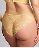 Heidi Brazilian Brief Lemon