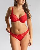 Heidi High Apex Non Padded Plunge Bra And Brazilian Ruby Red TKD Lingerie Panache Fashion F1