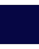Navy Swatch