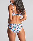Olivia Full Cup Bikini And Classic Brief Flutter Print TKD Lingerie Panache Swim Fashion B1