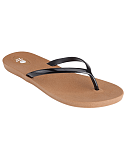 Scout Toffee Black CF2