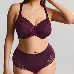 Amara Deep Brief Plum
