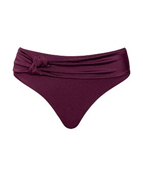 Beach Bliss High Leg Brief Mulberry Purple