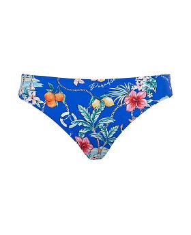 Paradiso Classic Brief Paradiso Print