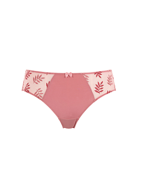 Tango Brief Rose Tango Brief Rose